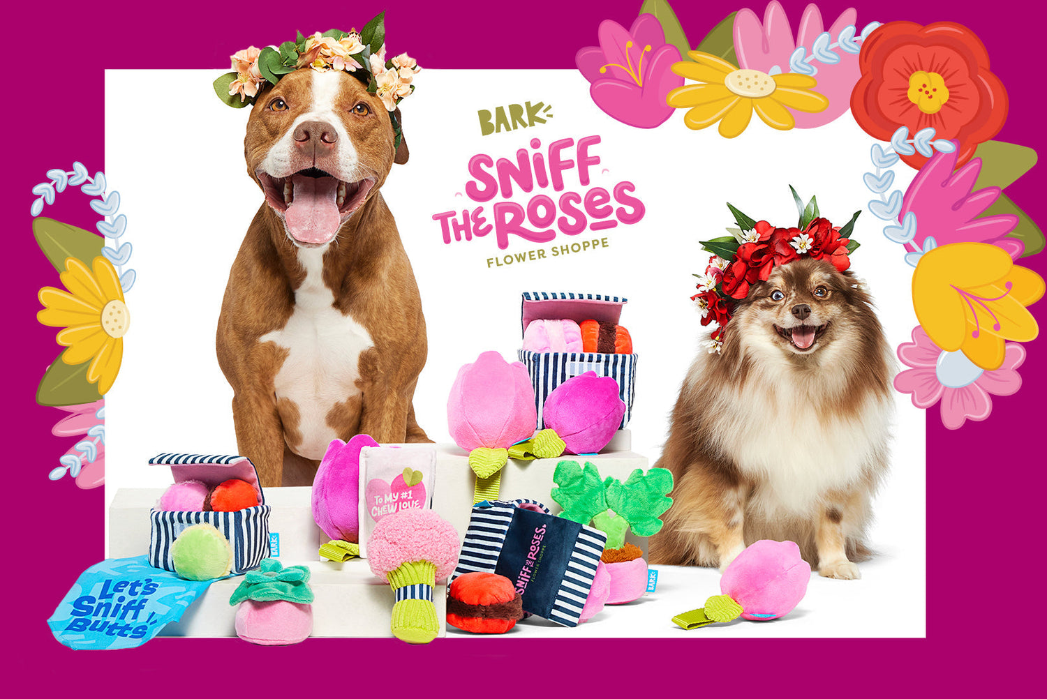 February 2024 BarkBox & Super Chewer Theme Reveal: Flower Shoppe
