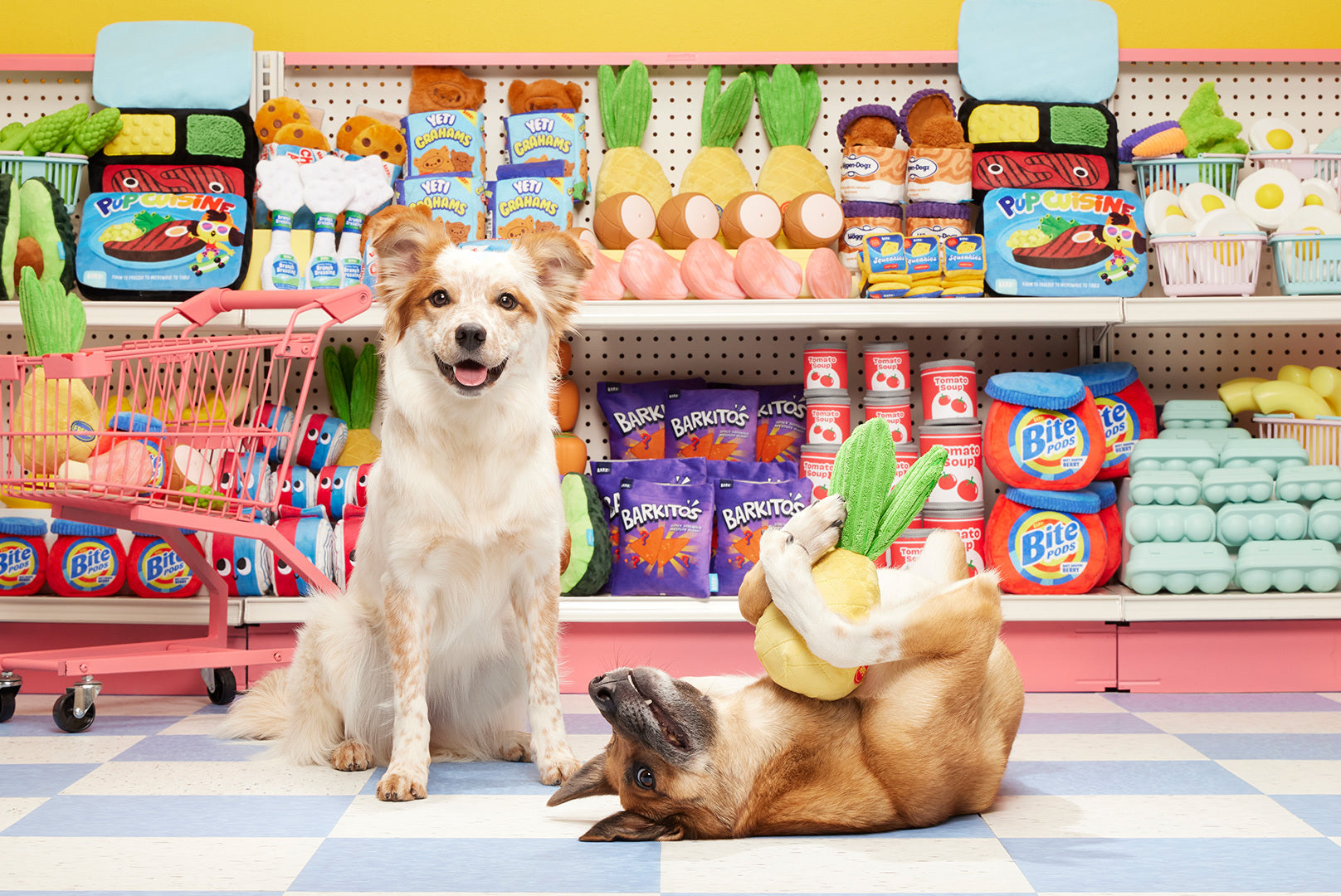 March 2024 BarkBox & Super Chewer Theme Reveal Grocery Store