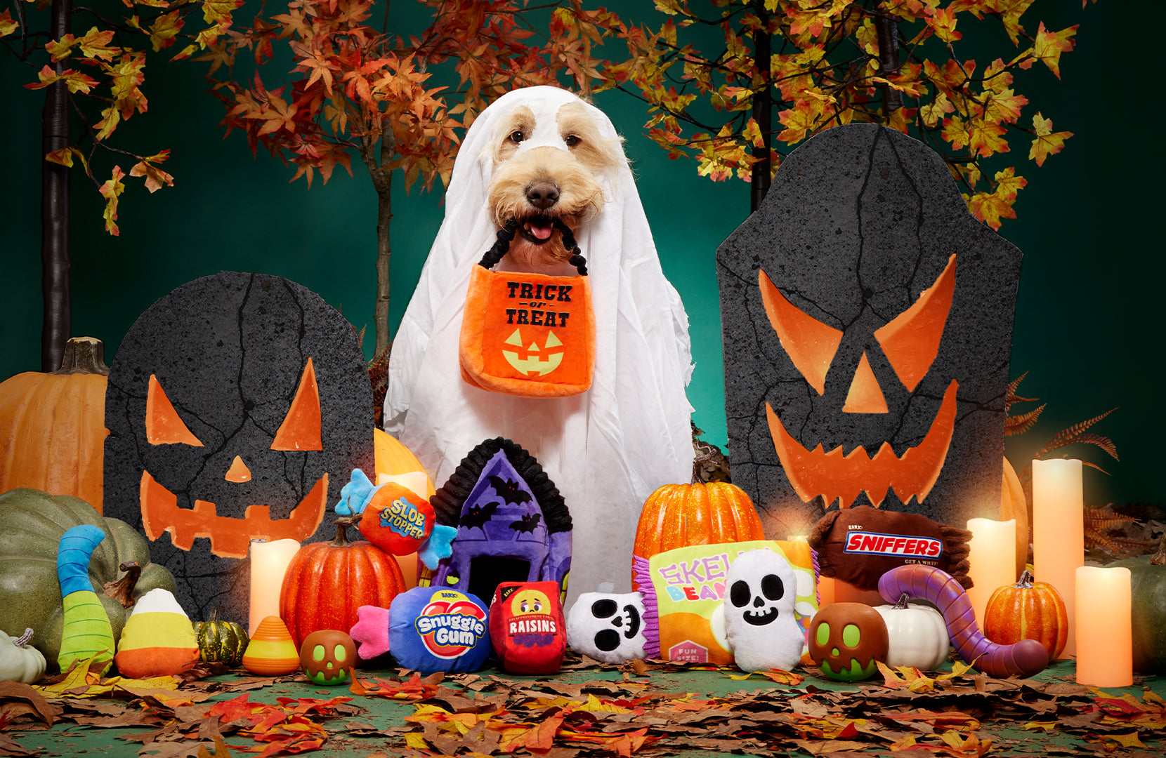 October 2023 BarkBox & Super Chewer Theme Reveal Afraid of the Ba