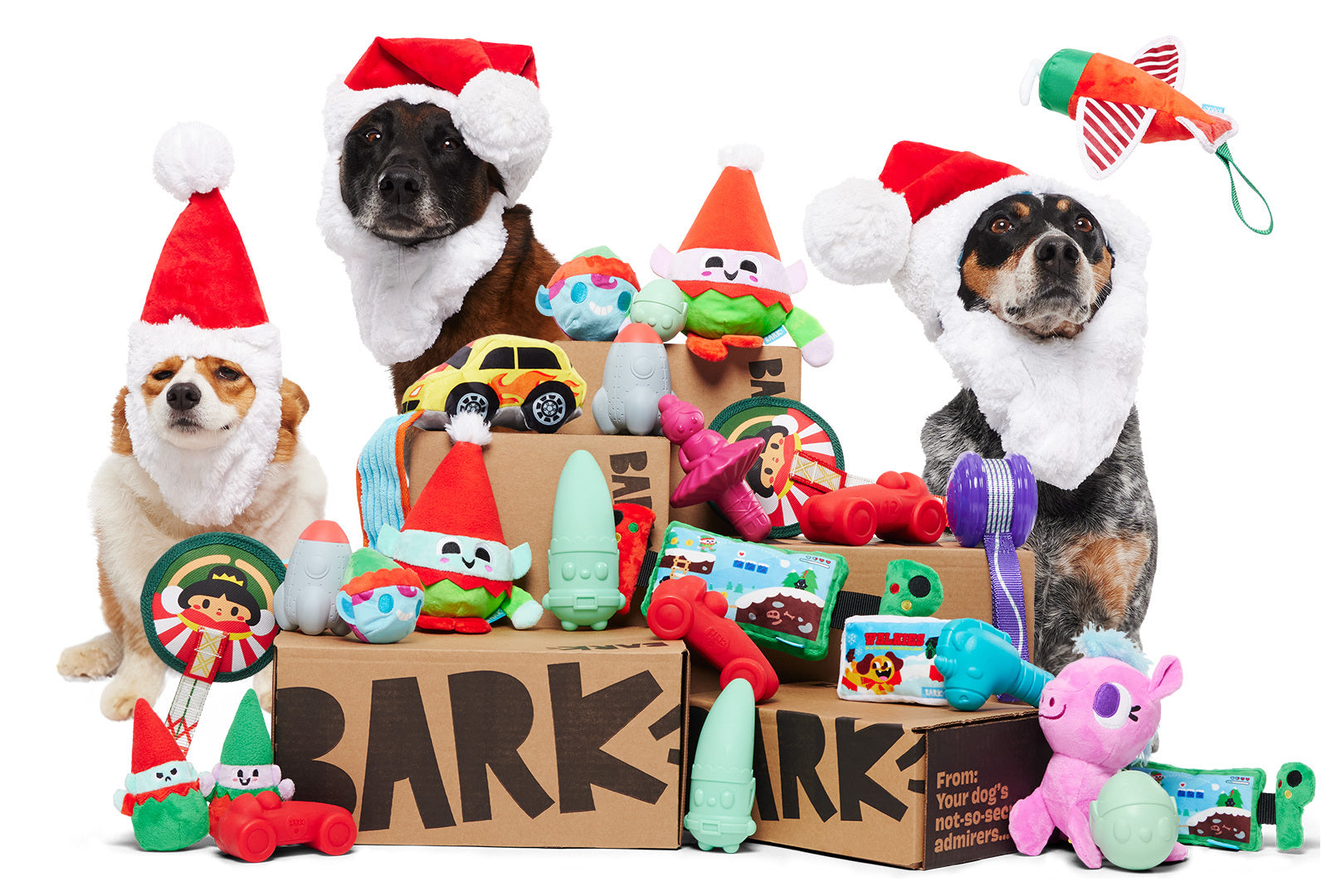 December 2023 BarkBox & Super Chewer Theme Reveal Santa's