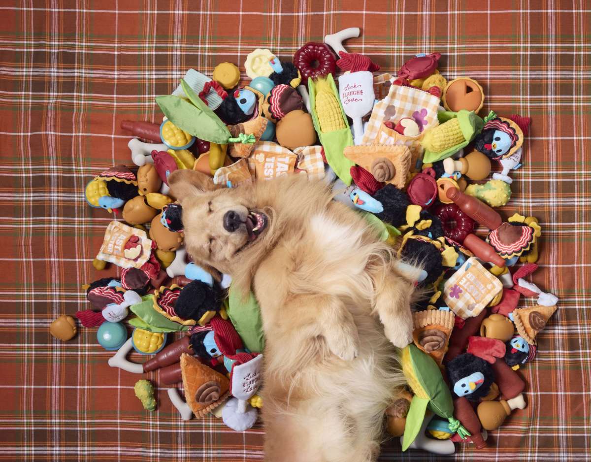 November 2024 BarkBox & Super Chewer Theme Reveal: Dogsgiving!