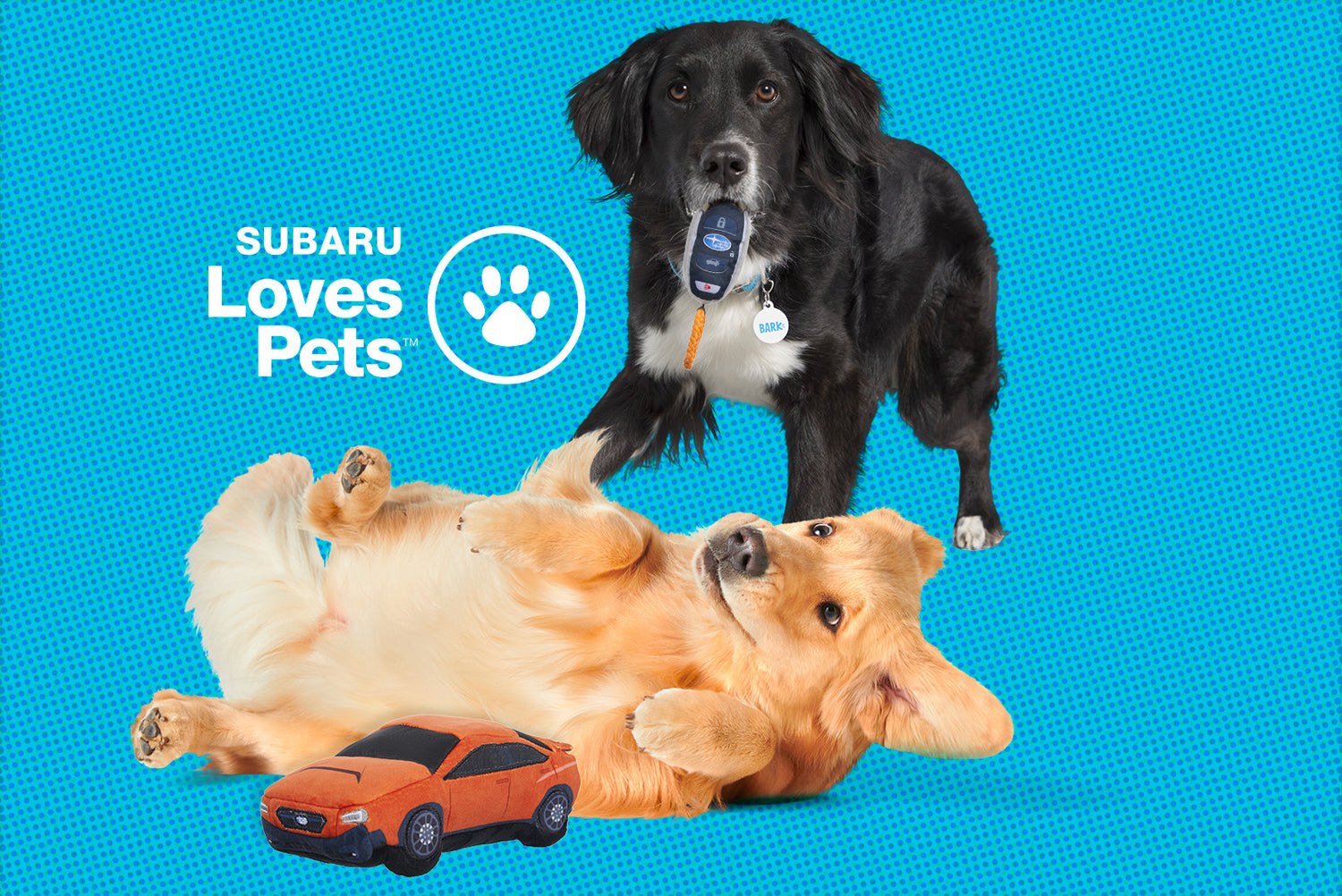 Celebrating Underdogs With Subaru