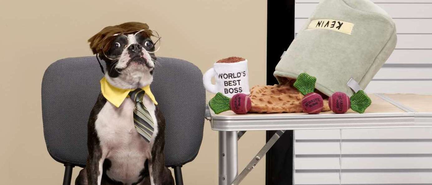 Attention All Assistants To The Regional Manager: BARK Made "The Office" Toys