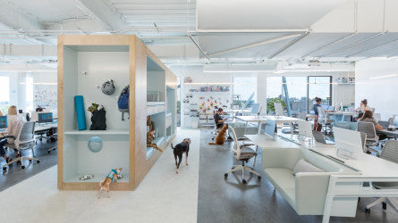 BARK, A Leading Brand for Dogs, to List on NYSE Through Merger with Northern Star Acquisition Corp