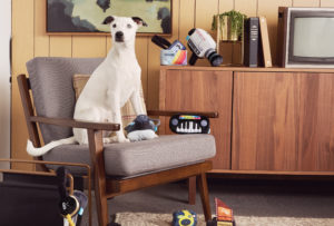 dog urban outfitters toys
