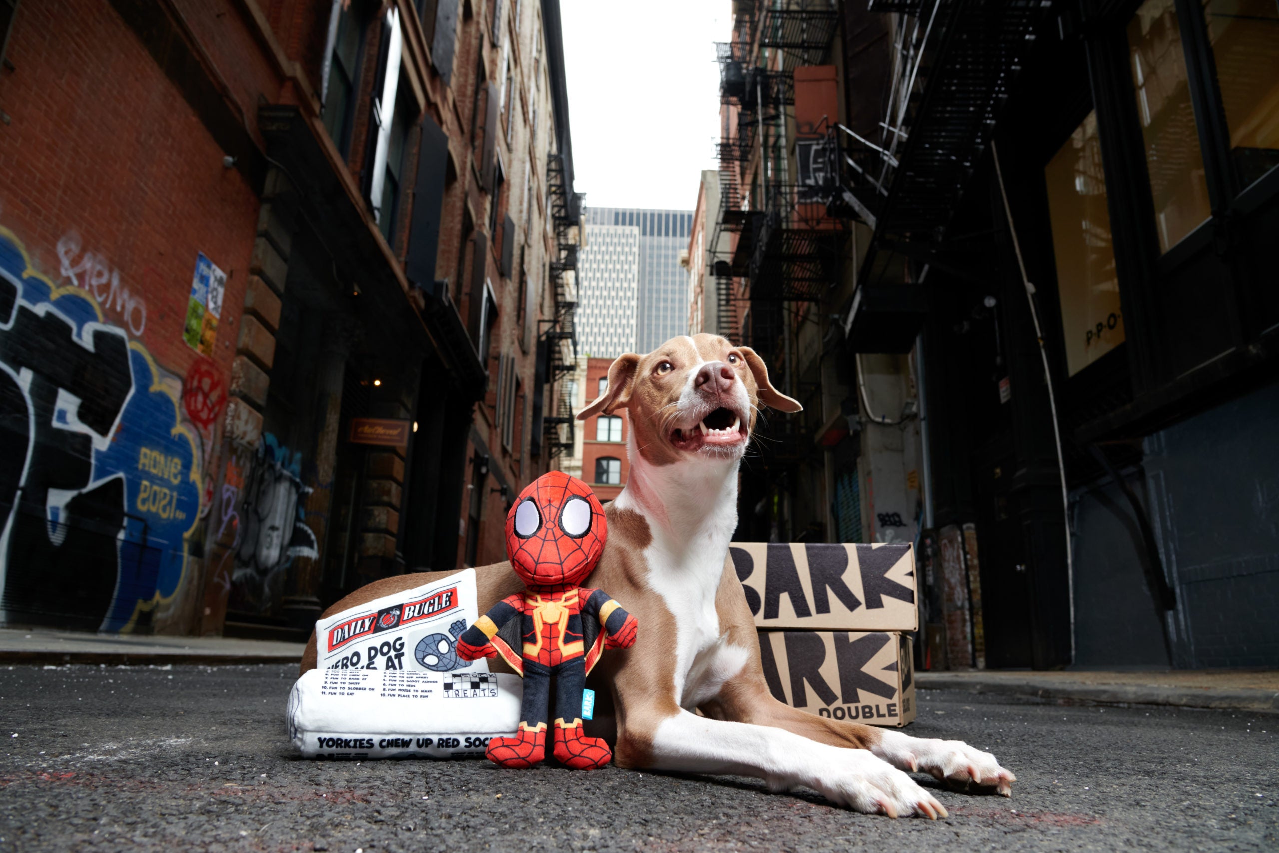 BarkBox and Super Chewer Launch Limited Edition Spider-Man Boxes Ahead of the Film Release