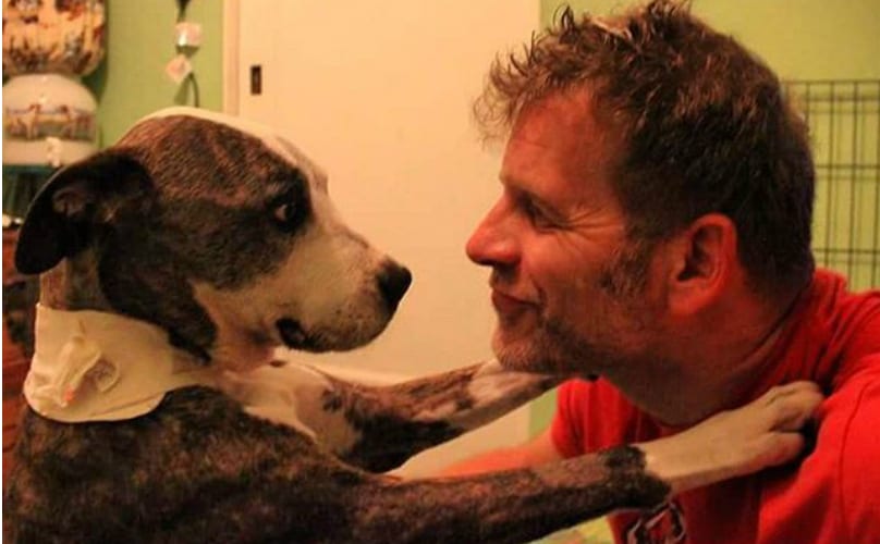 The Corniest Dog Dad Jokes Of All Time So Far (There Will Be More, Sigh)