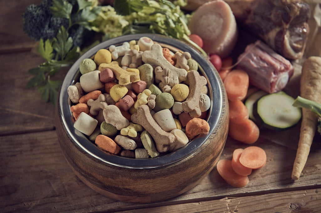 What are Superfoods for Dogs