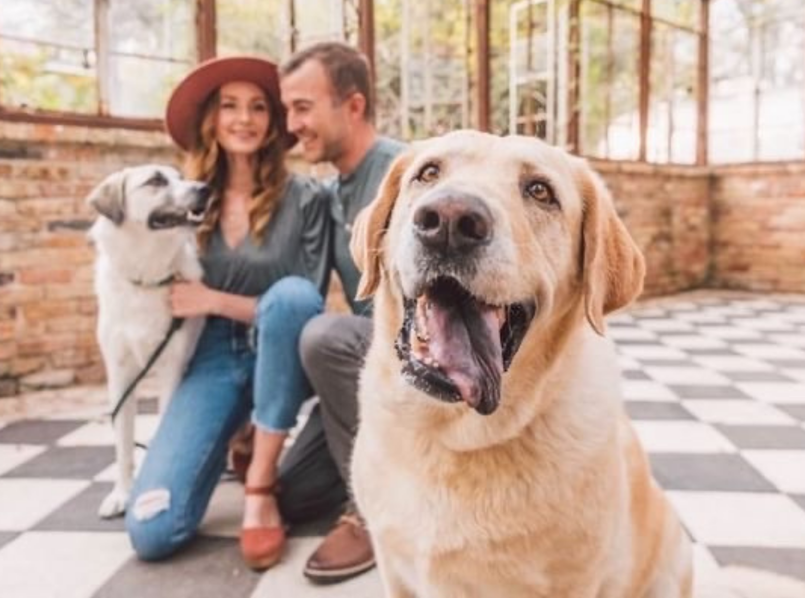 dog with black spot on tongue