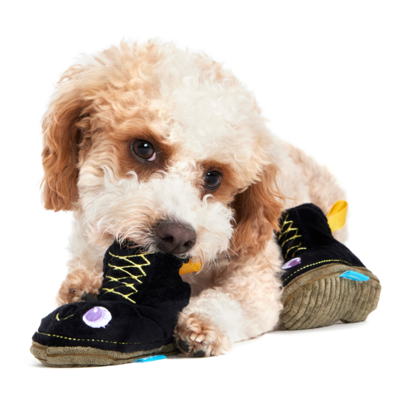 dog with favorite toy