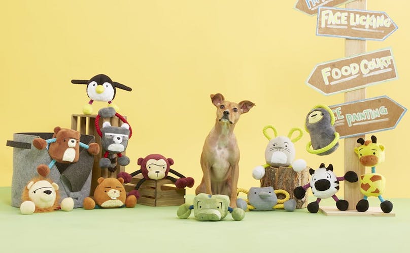 dog surrounded by toys