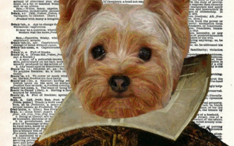 7 Hilarious Poems A Dog Would Pen For Their Human