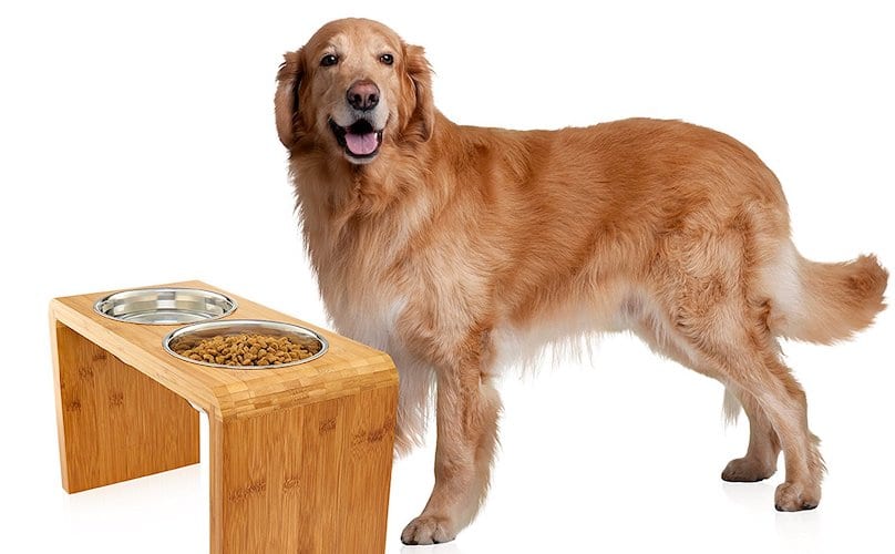 Should I Be Using An Elevated Bowl To Feed My Dog?