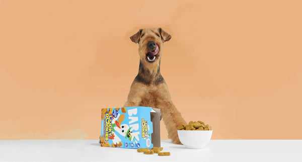 Treats & Chews