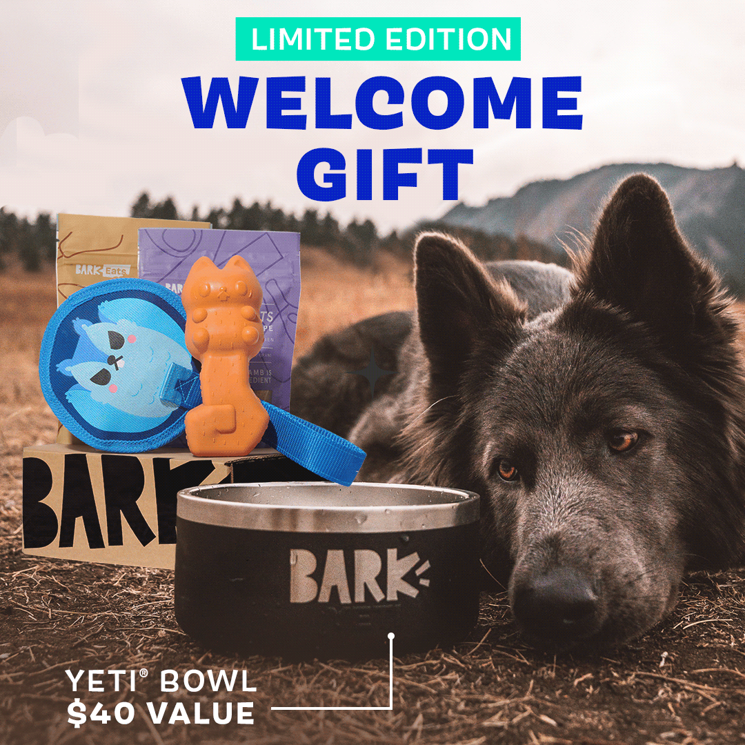 SuperChewer + Free Yeti Bowl: 6 Month Subscription