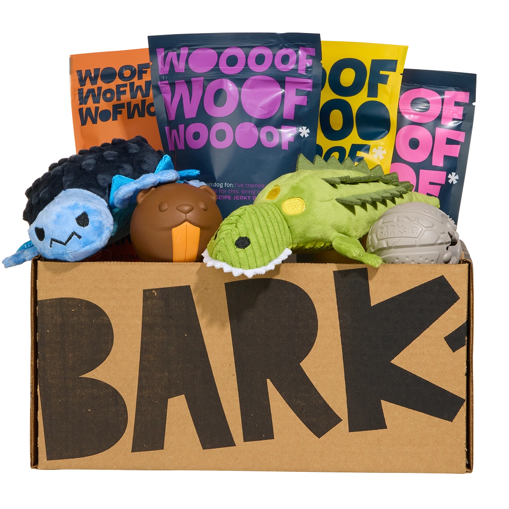 BARK 6 Month Subscription - FREE Extra Toys