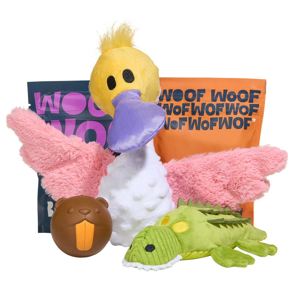 BARK 6 Month Subscription - FREE Extra Toys