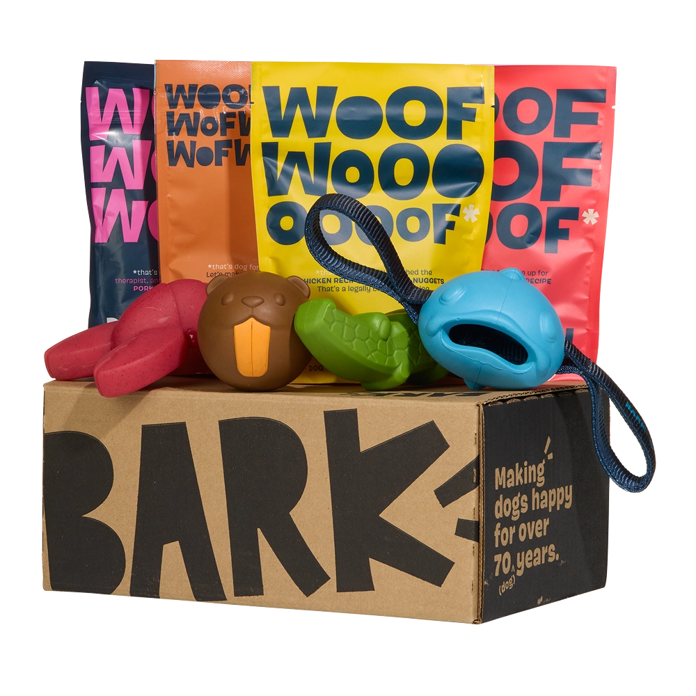 BARK 6 Month Subscription - FREE Extra Toys