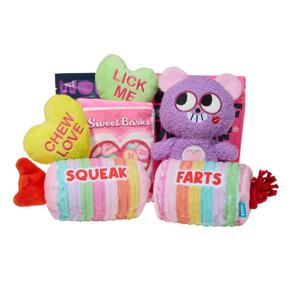 BARK 6 Month Subscription + Cardboard Box