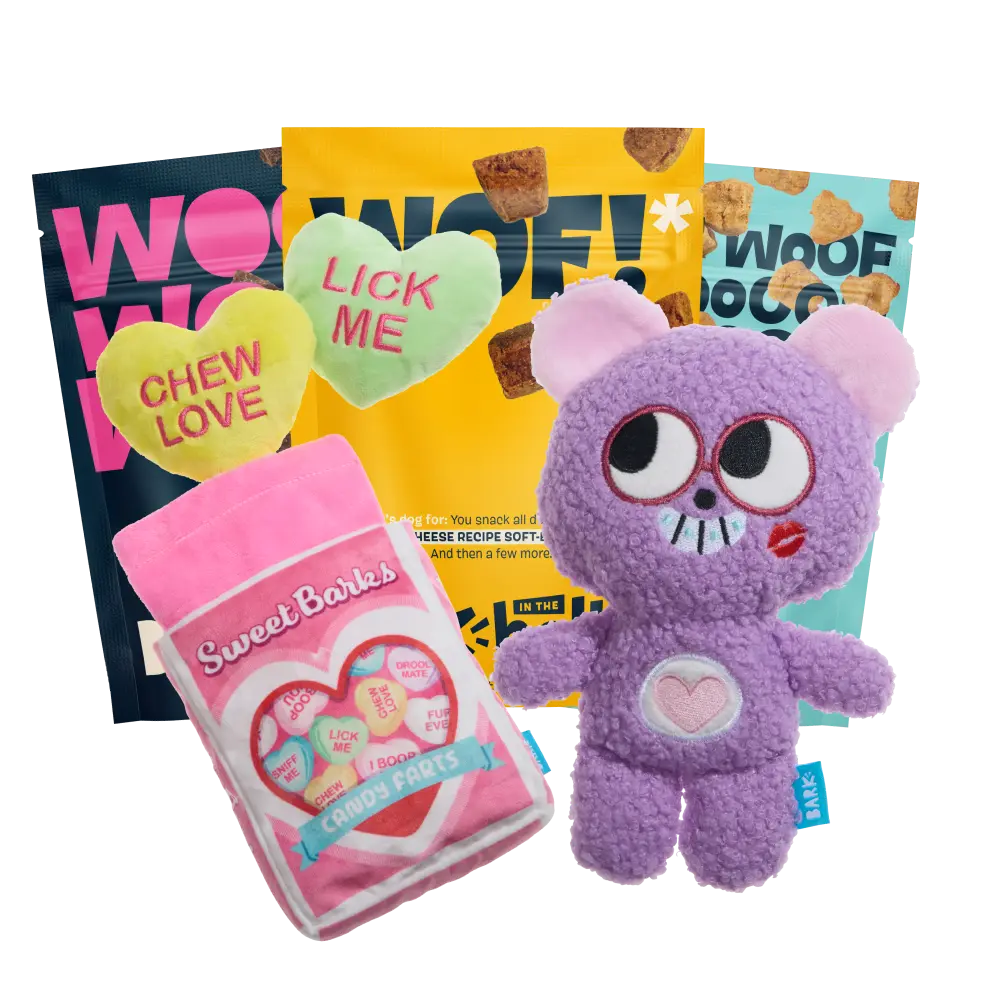 BARK 6 Month Subscription - FREE Extra Treats