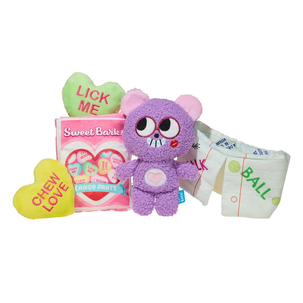 BARK 6 Month Subscription + Cardboard Box