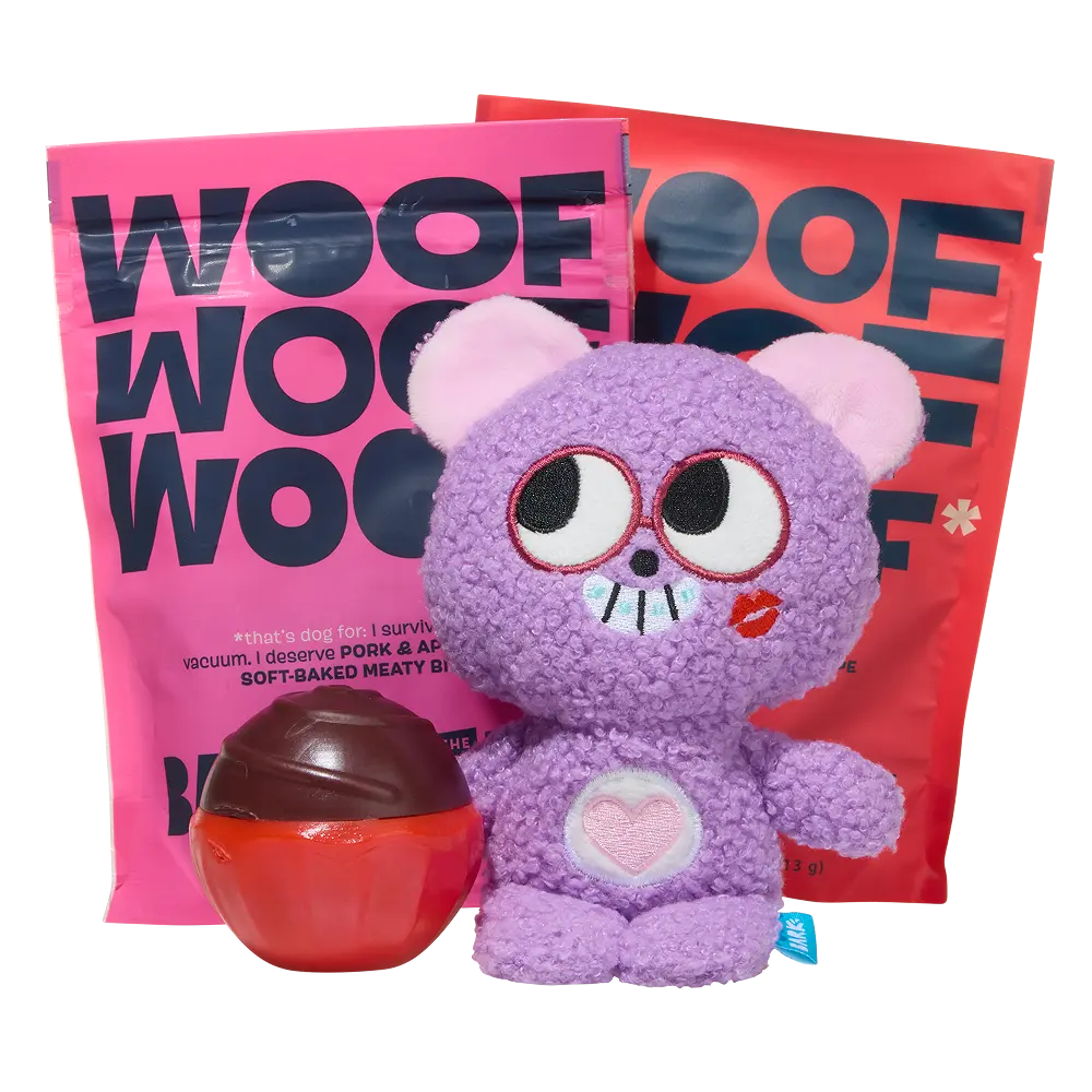 BARK 12 Month Subscription + Cardboard Box