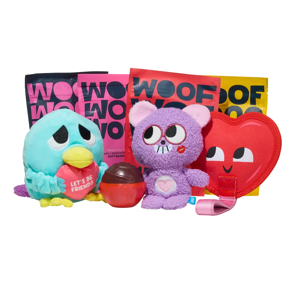 BARK 6 Month Subscription + Cardboard Box