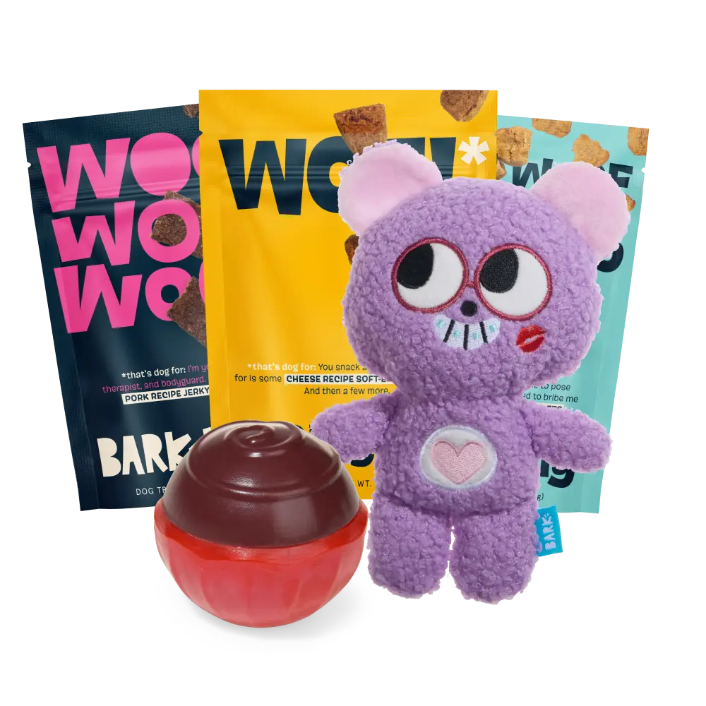 BARK 6 Month Subscription - FREE Extra Treats
