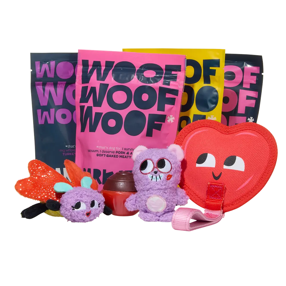 BARK 6 Month Subscription + Cardboard Box