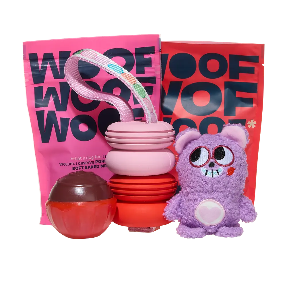 BARK 12 Month Subscription + Cardboard Box