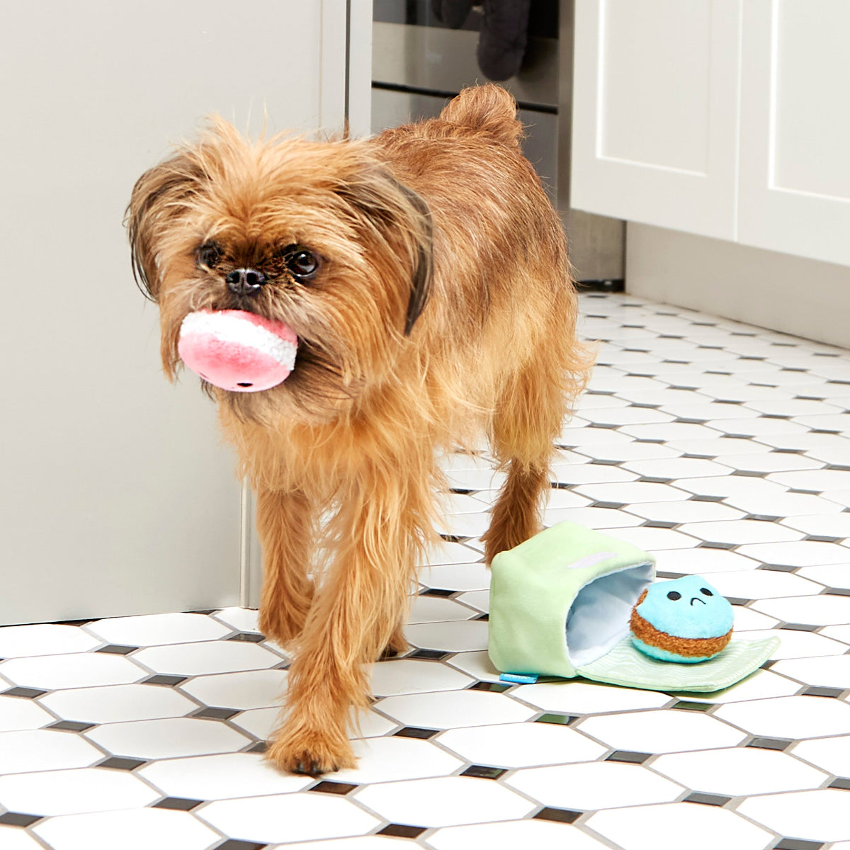 Wee Wee Macaroon Plush Multi-Part + Enrichment Dog Toy