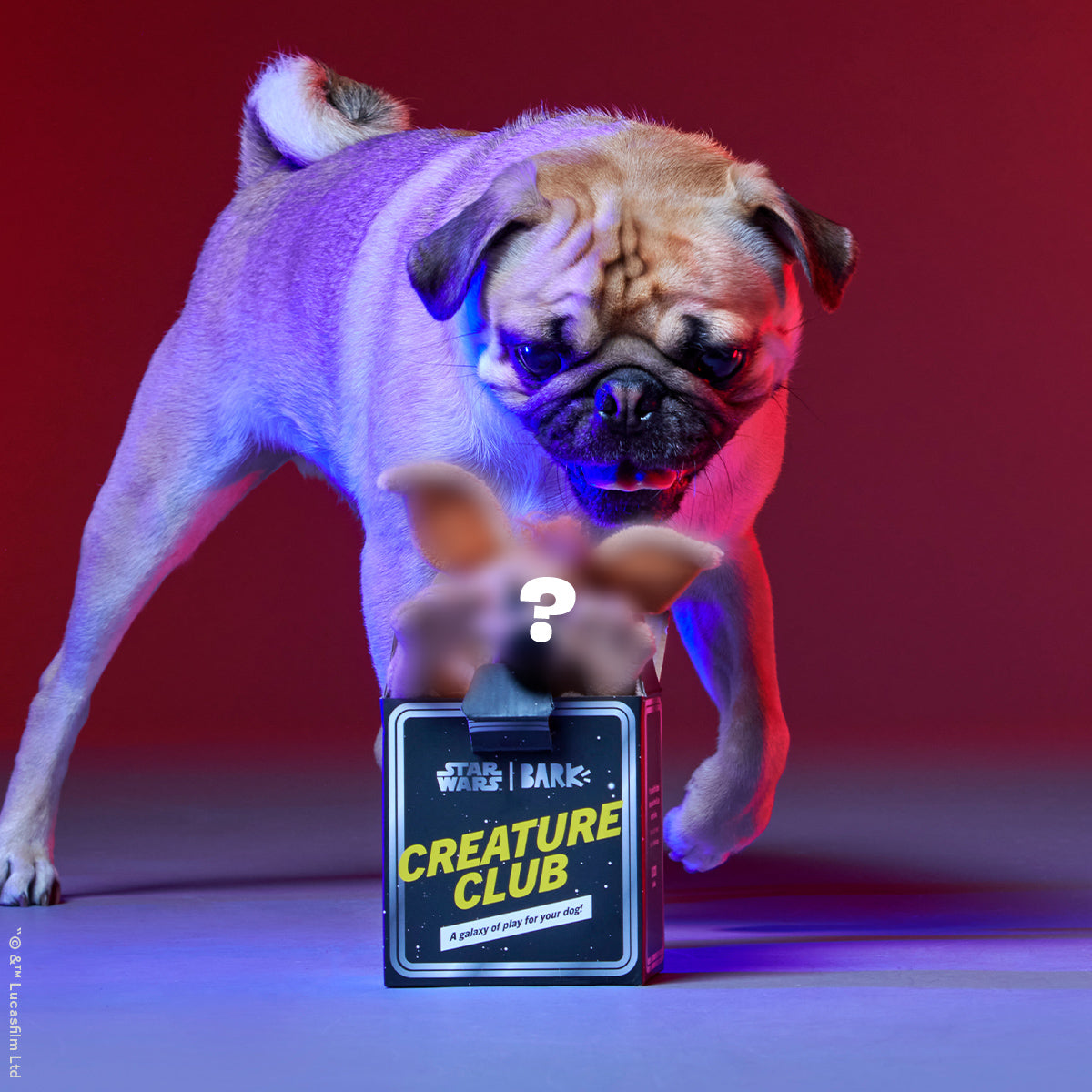 Star Wars™ Creature Club, Plush Monthly Dog Toys