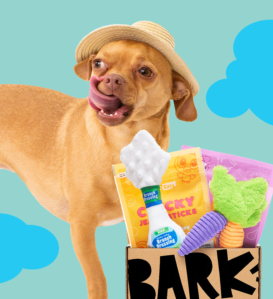 0624_Sweepstakes_LandingPage_HomepageBlocks_Step 1.jpg