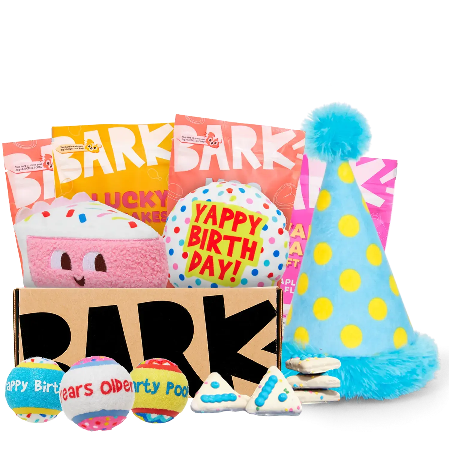 Super Chewer 6 Month Subscription - The Birthday Box Double Deluxe First Box
