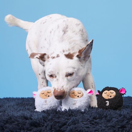 Baa Baa Bark Sheep Plush Multi-Part + Fetch Dog Toy