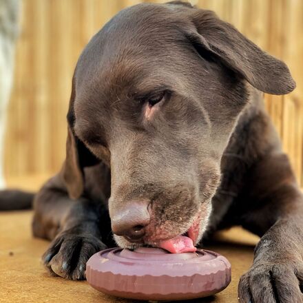 Woof Woof Wood Slice