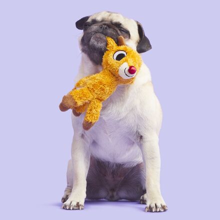 Runnin' Rudolph® Plush Tug Dog Toy