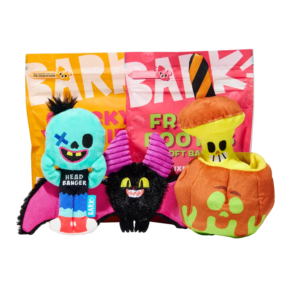 BARK Monthly Subscription + Cardboard Box