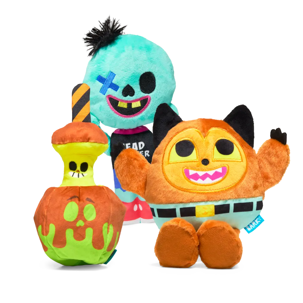 BARK Monthly Subscription + Cardboard Box