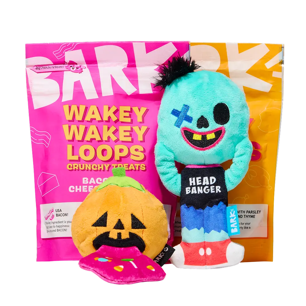 BARK Monthly Subscription + Cardboard Box