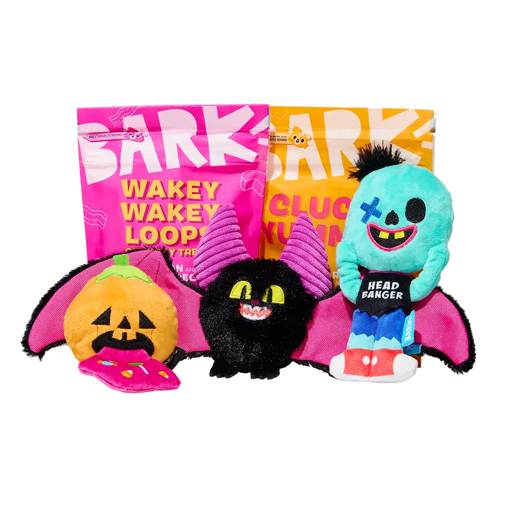 BARK Monthly Subscription + Cardboard Box