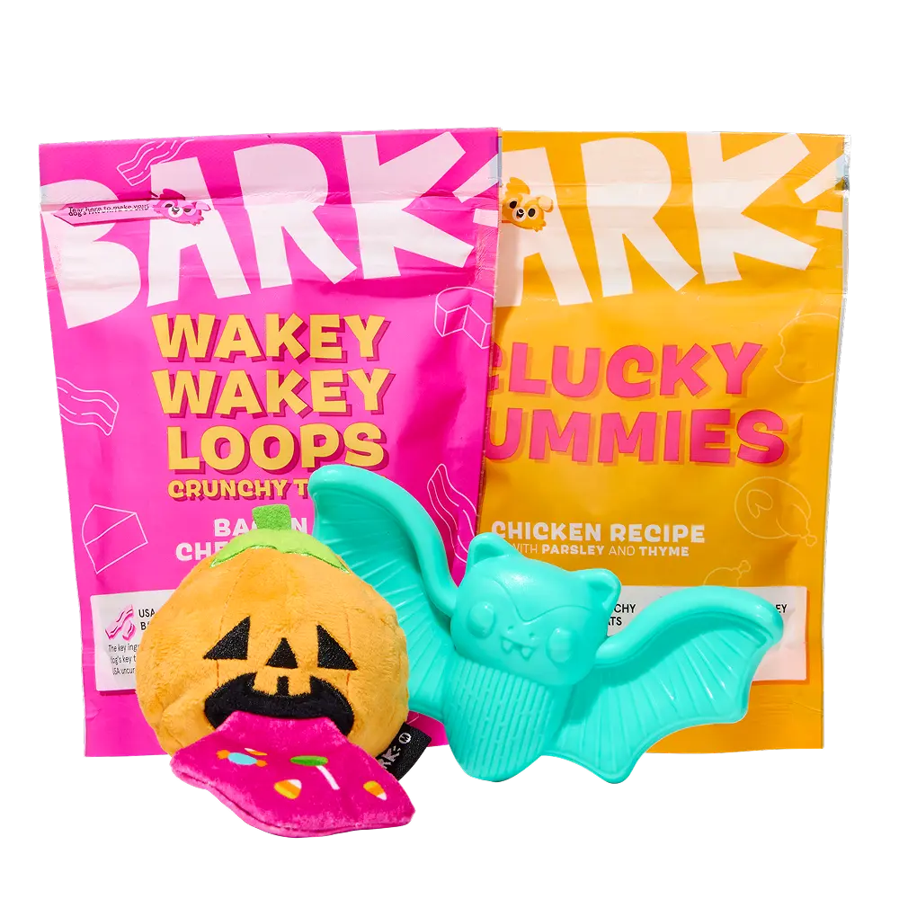 BARK Monthly Subscription + Cardboard Box