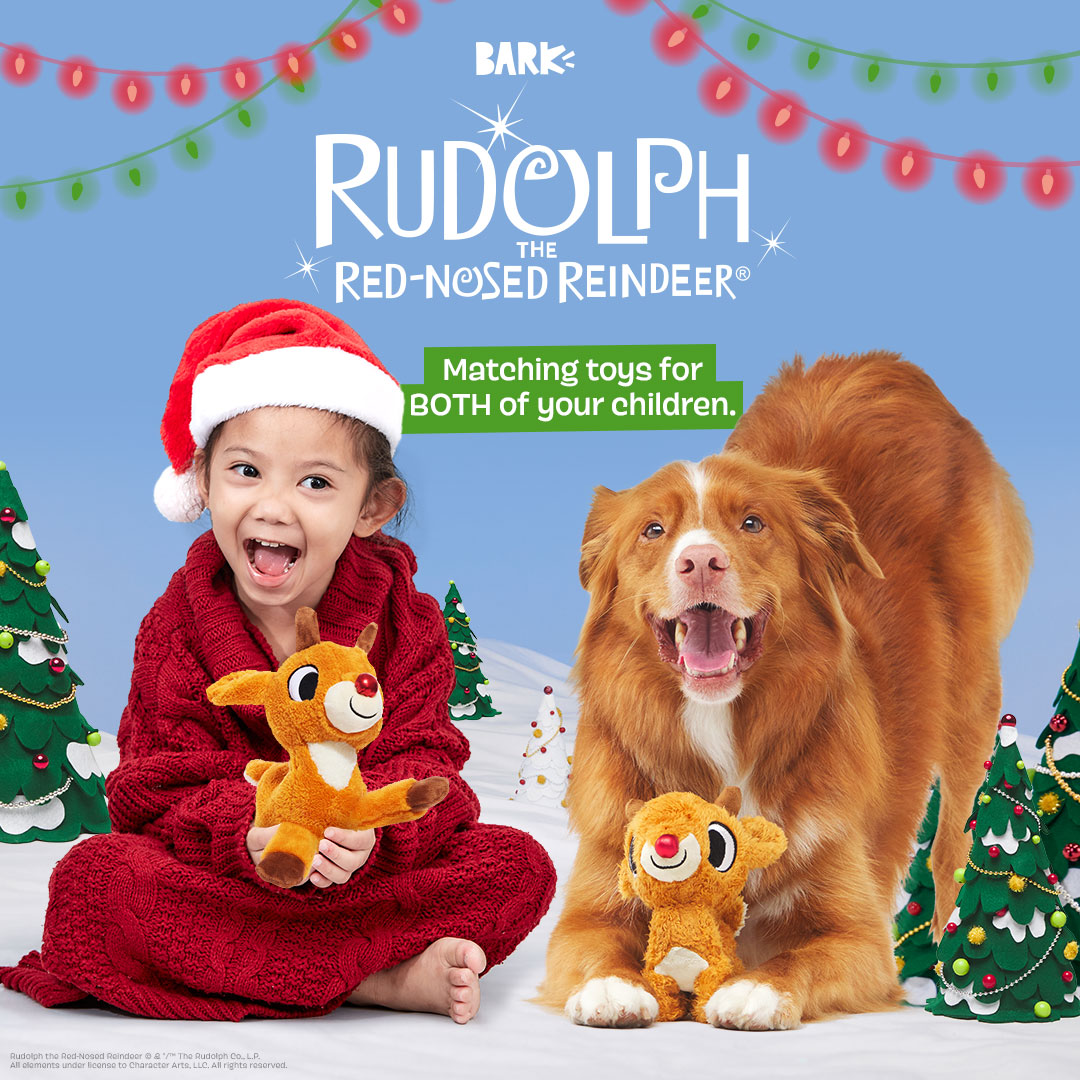 Runnin' Rudolph® Plush Multi-Part Kid + Dog Toy Bundle