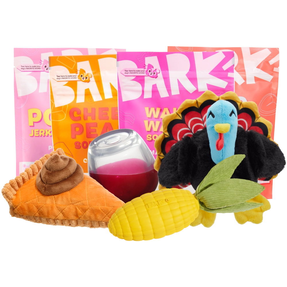 BARK 6 Month Subscription