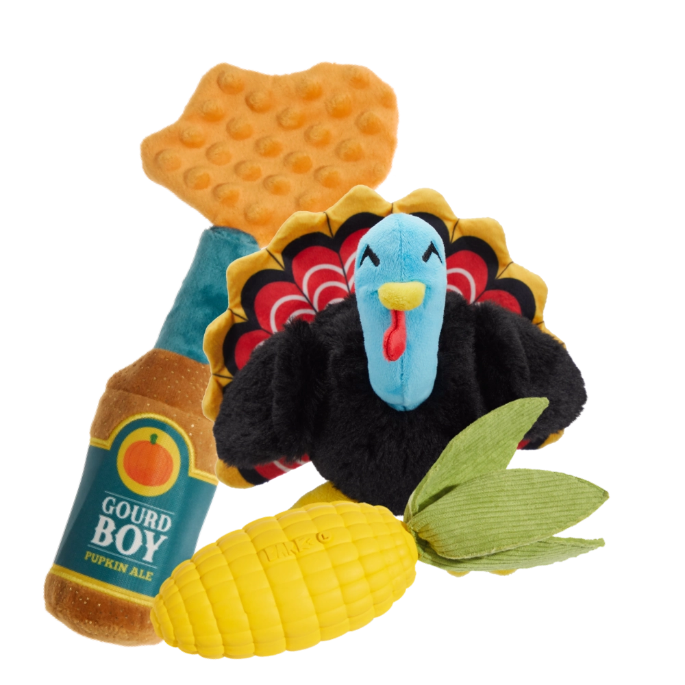 BARK 12 Month Subscription - FREE Extra Toys with Cardboard Box