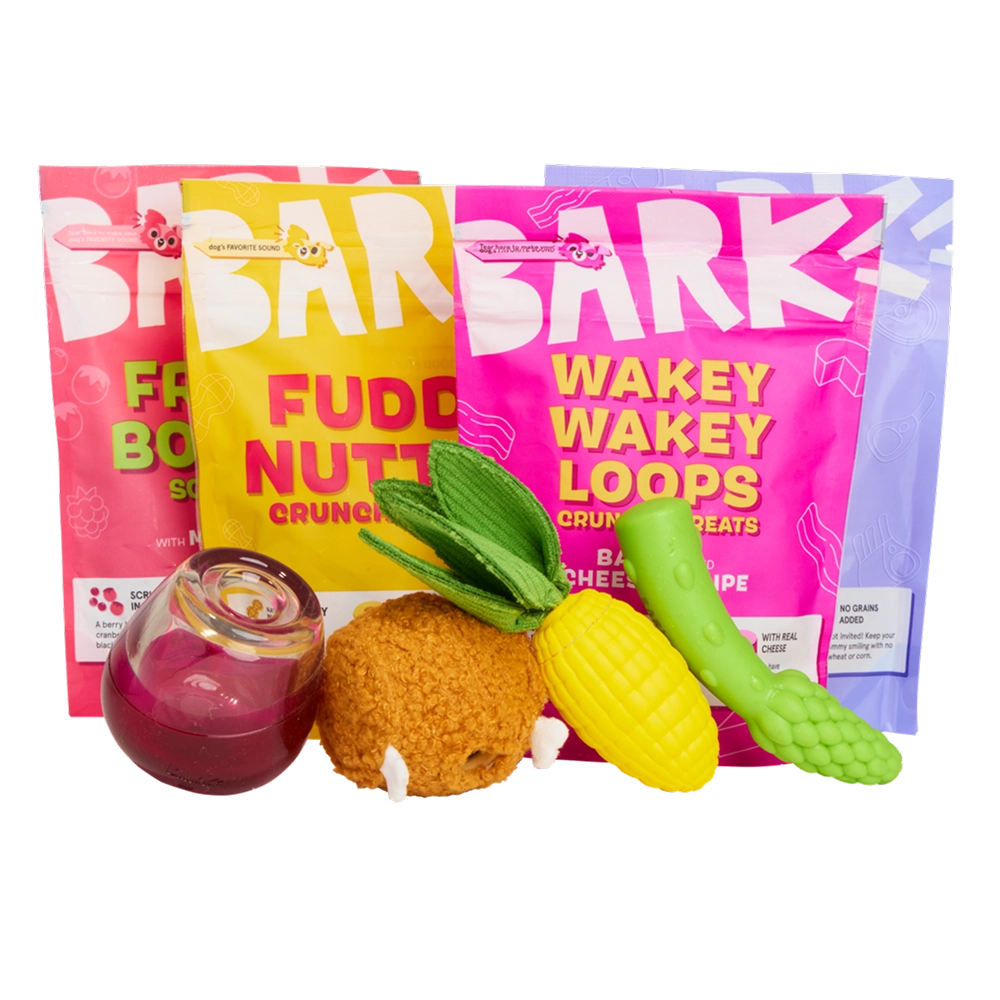 BARK 12 Month Subscription - FREE Extra Toys with Cardboard Box