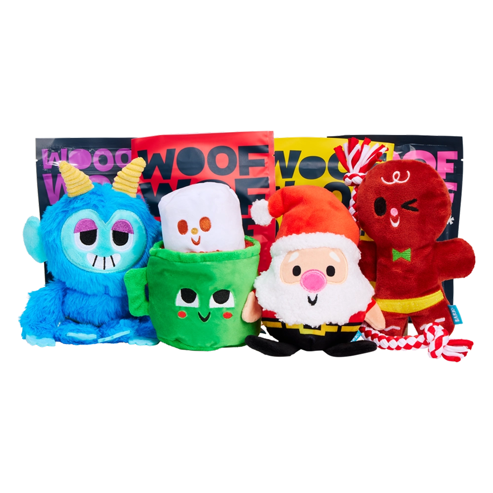 BARK 6 Month Subscription - FREE Extra Toys with Cardboard Box