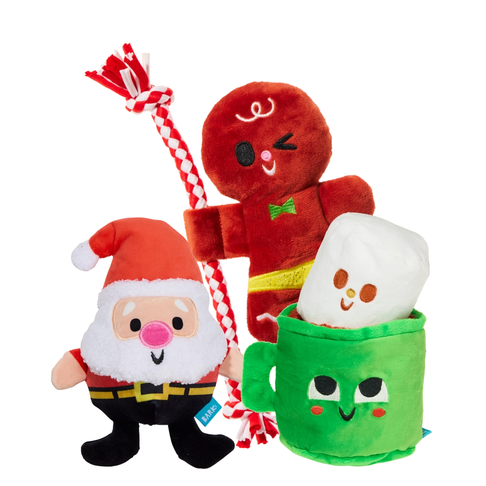 BarkBox 1 Mo. Subscription