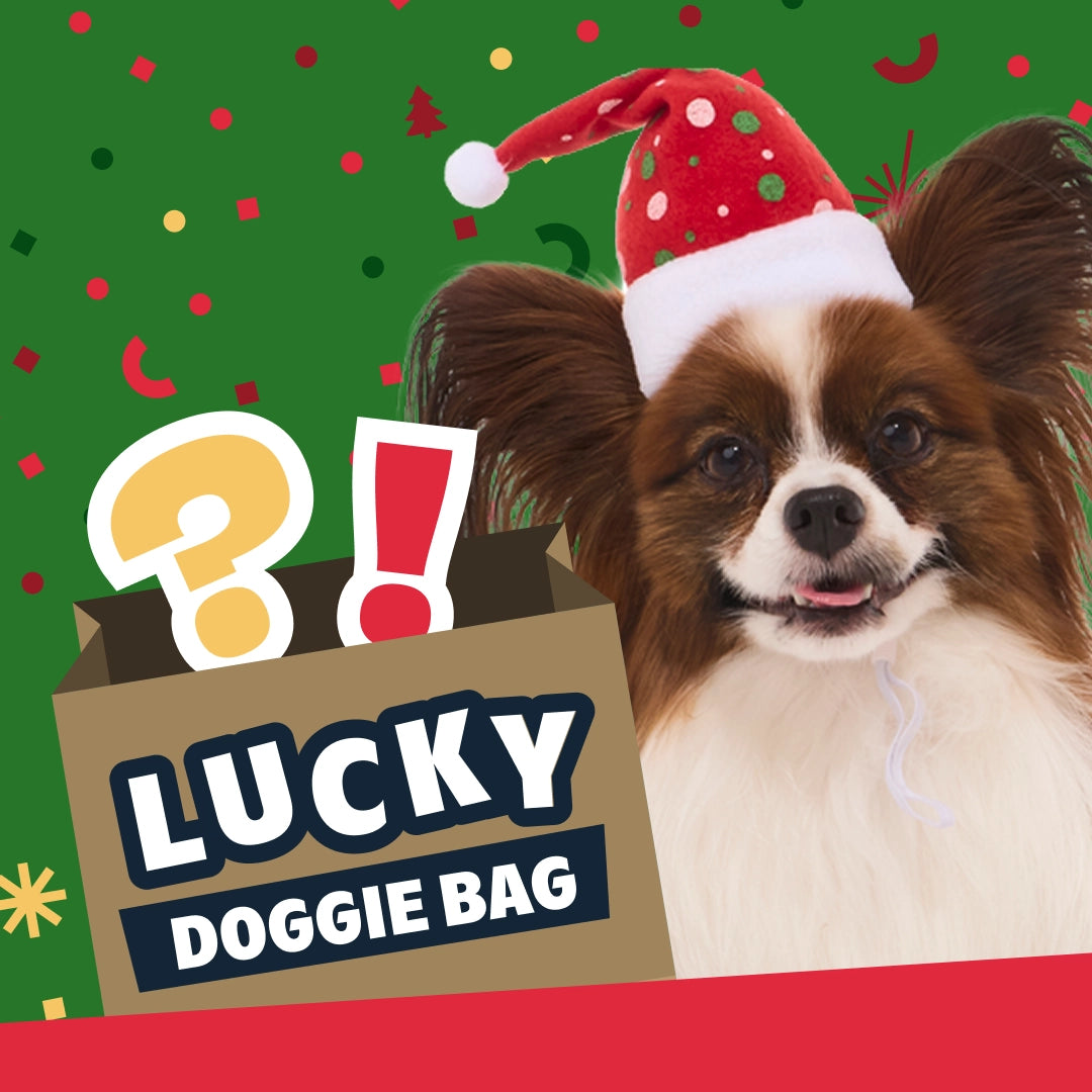 Lucky Doggie Bag