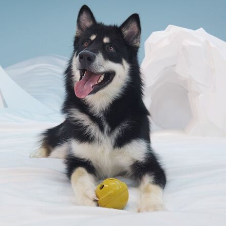 Reindeer Games™ Rudolph®